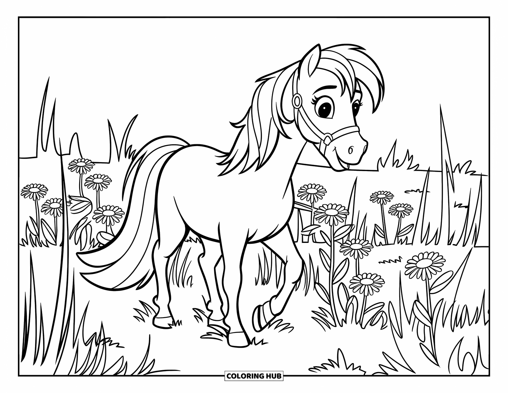 Coloriage de poney pour enfants : Un poney avec un licol se promène dans de hautes herbes et des marguerites joyeuses