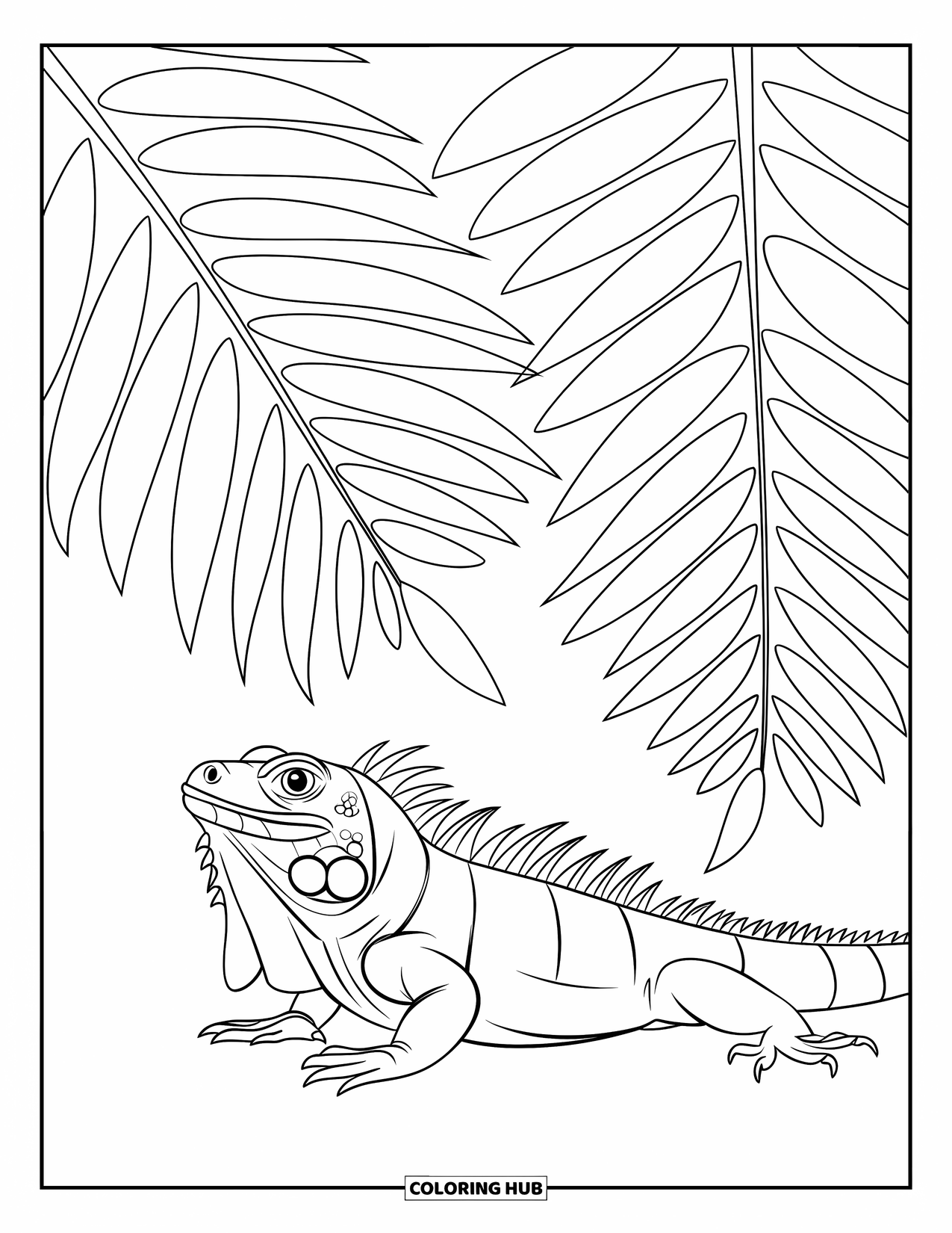 Reptile Coloring Page for Kids: Iguana under ferns with red spikes along its green back