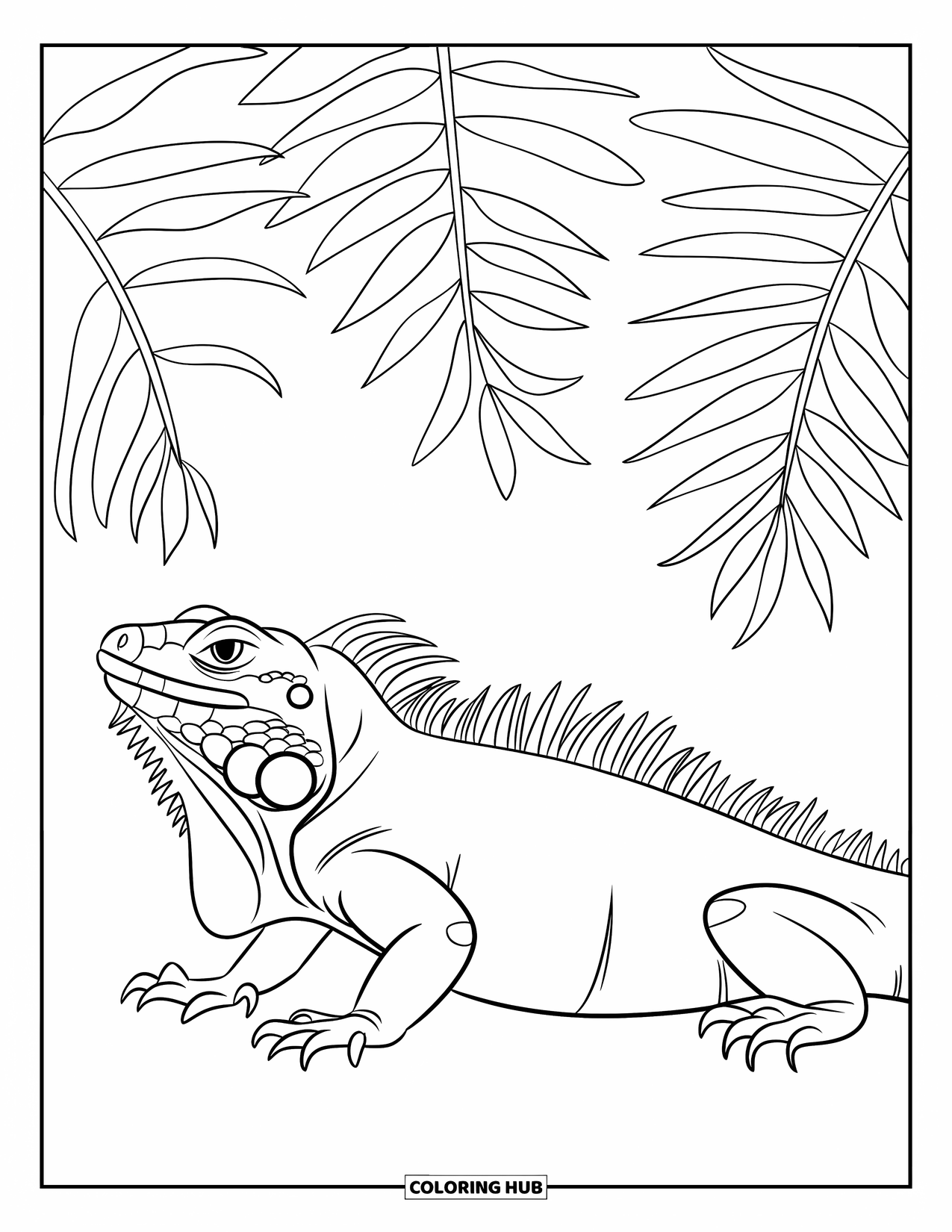 Reptile Coloring Page for Kids: Iguana with claws rests under leafy ferns on a clean background