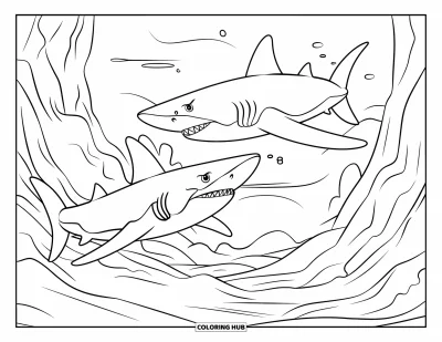 95+ Shark Coloring Pages