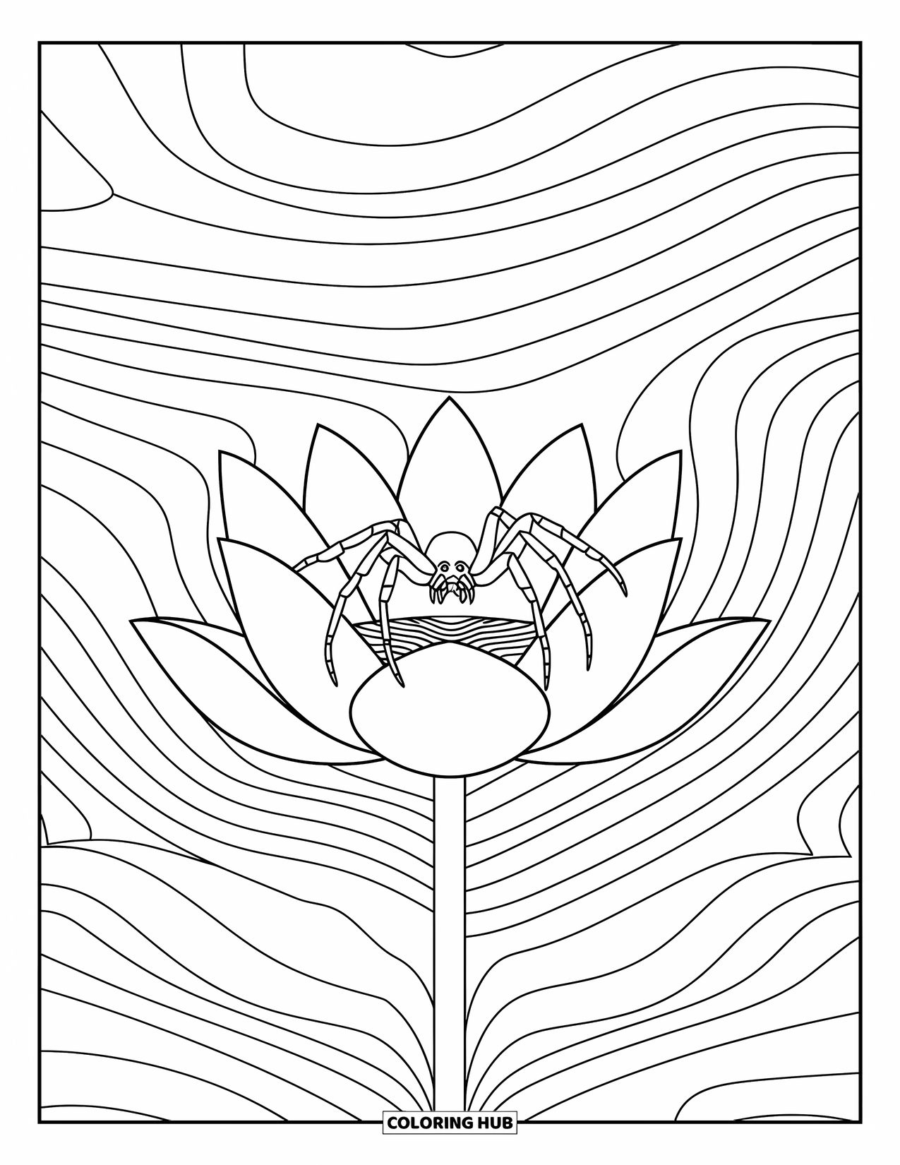 Spider Coloring Page for Adults: A calm spider sits gently on a lotus, framed by soft wave patterns