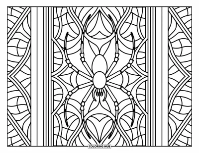 Coloriage d'araignées pour adultes : Une araignée gracieuse est assise dans une fenêtre tissée entourée de motifs fluides et complexes