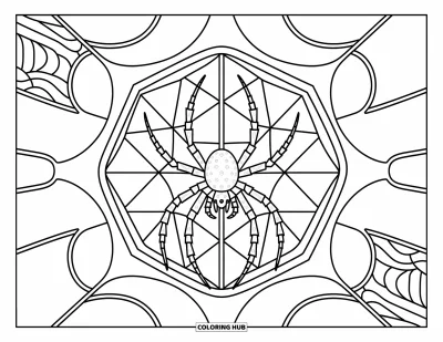 Coloriage d'araignées pour adultes : Une araignée se repose dans une fenêtre tissée façon vitrail, remplie de motifs élégants en arabesques