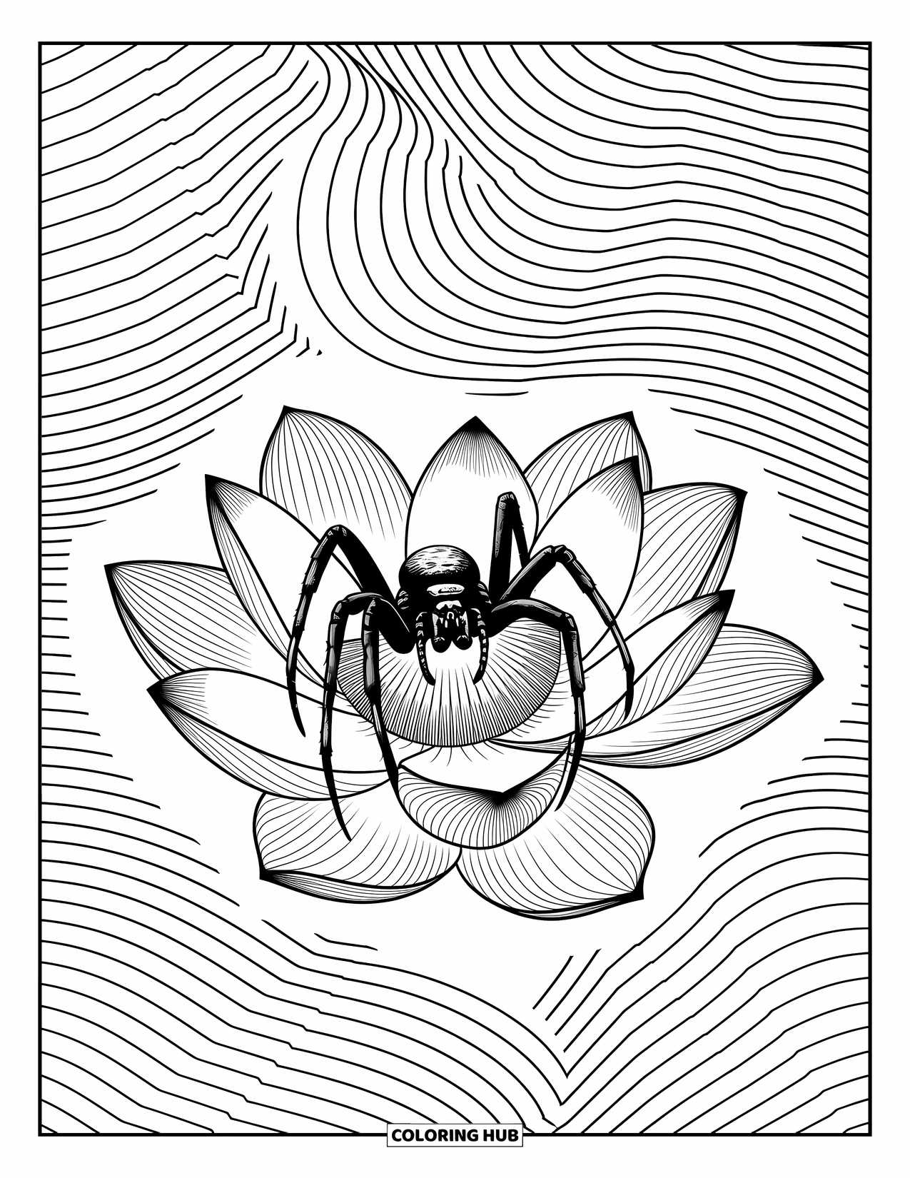 Spider Coloring Page for Adults: A spider rests on lotus petals, surrounded by soft waves and flowing lines