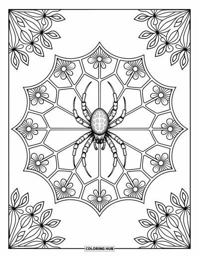 Coloriage d'araignées pour adultes : Une araignée est assise calmement dans une toile mandala entourée de formes florales délicates