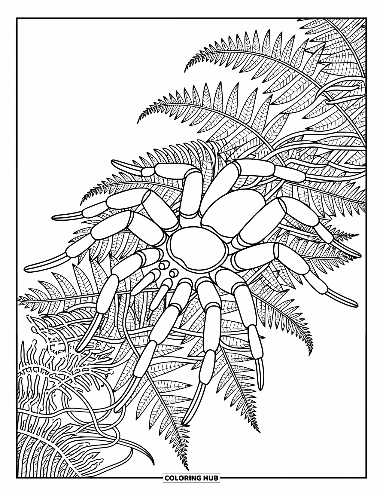 Spider Coloring Page for Adults: A tarantula crawls through ferns and twisting vines filled with calm, flowing designs