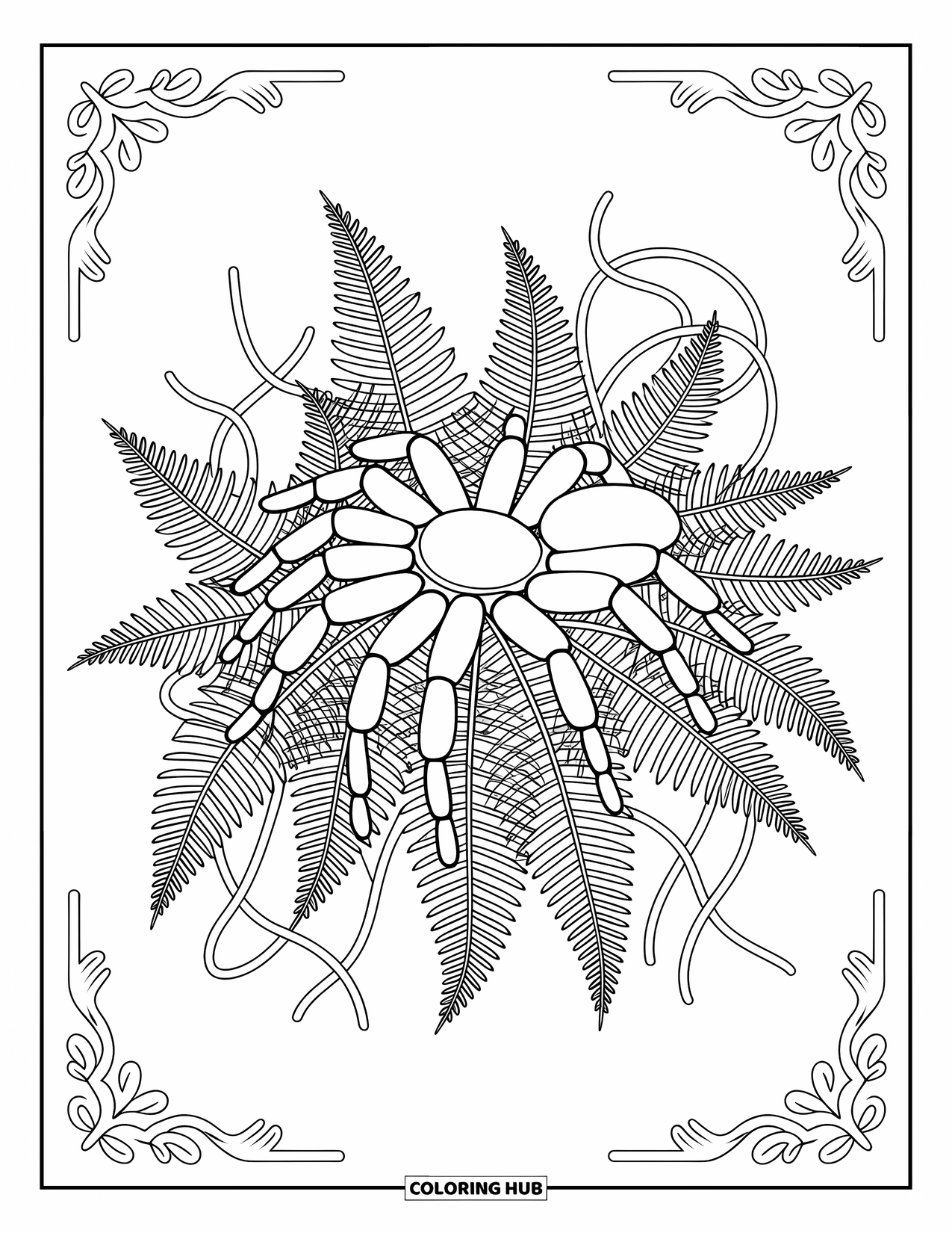 Spider Coloring Page for Adults: A tarantula explores dense ferns and vines surrounded by graceful, decorative shapes