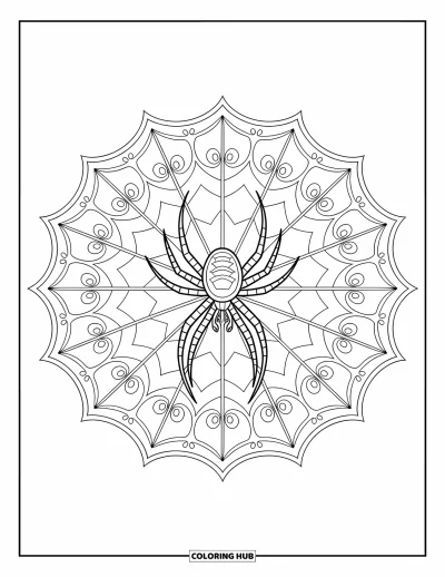 Coloriage d'araignées pour adultes : Une épeire se repose au centre d'une toile mandala florale