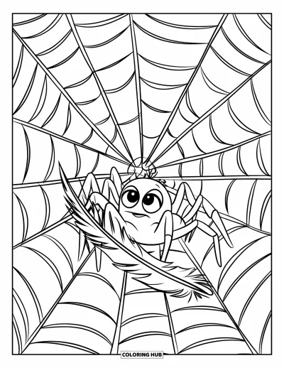 Coloriage d'araignées pour enfants : Une araignée est assise sur sa toile et tire sur une plume coincée dans les fils