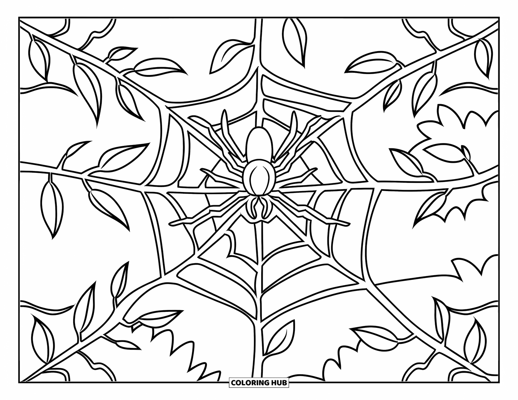 Spider Coloring Page for Kids: A spider weaves a symmetrical web across stems with a few leaves nearby