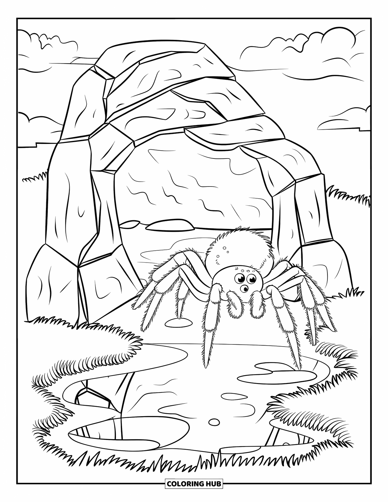 Spider Coloring Page for Kids: A spider with hairy legs explores rocks and a puddle reflecting sky and clouds