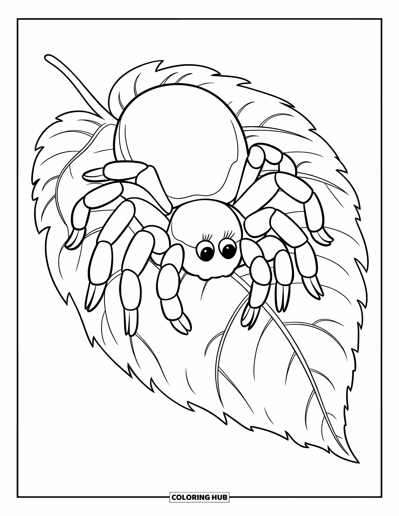 Spider Coloring Page for Kids: A tarantula rests on a leaf covered in fine veins