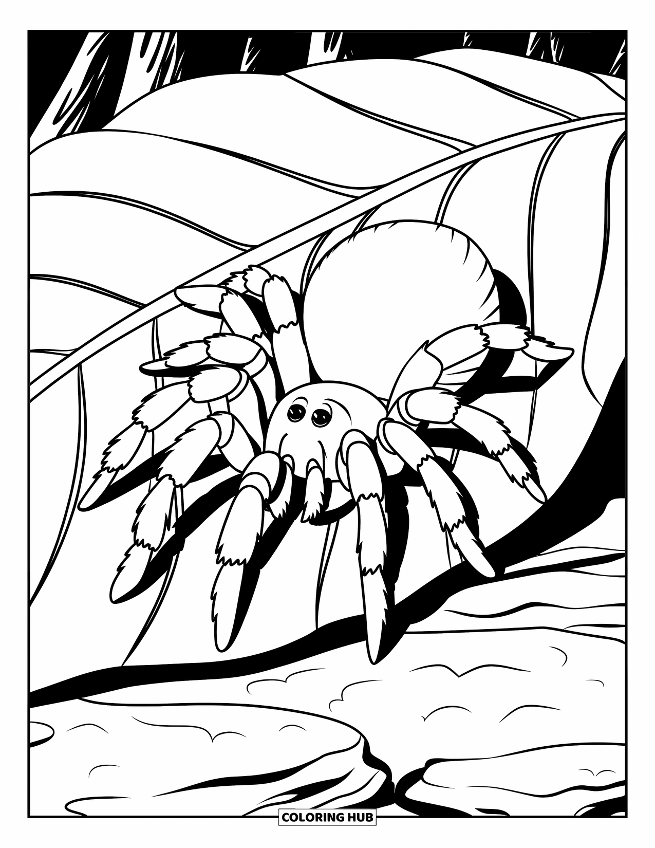 Spider Coloring Page for Kids: A tarantula sits on a leaf over rocky ground in a quiet forest