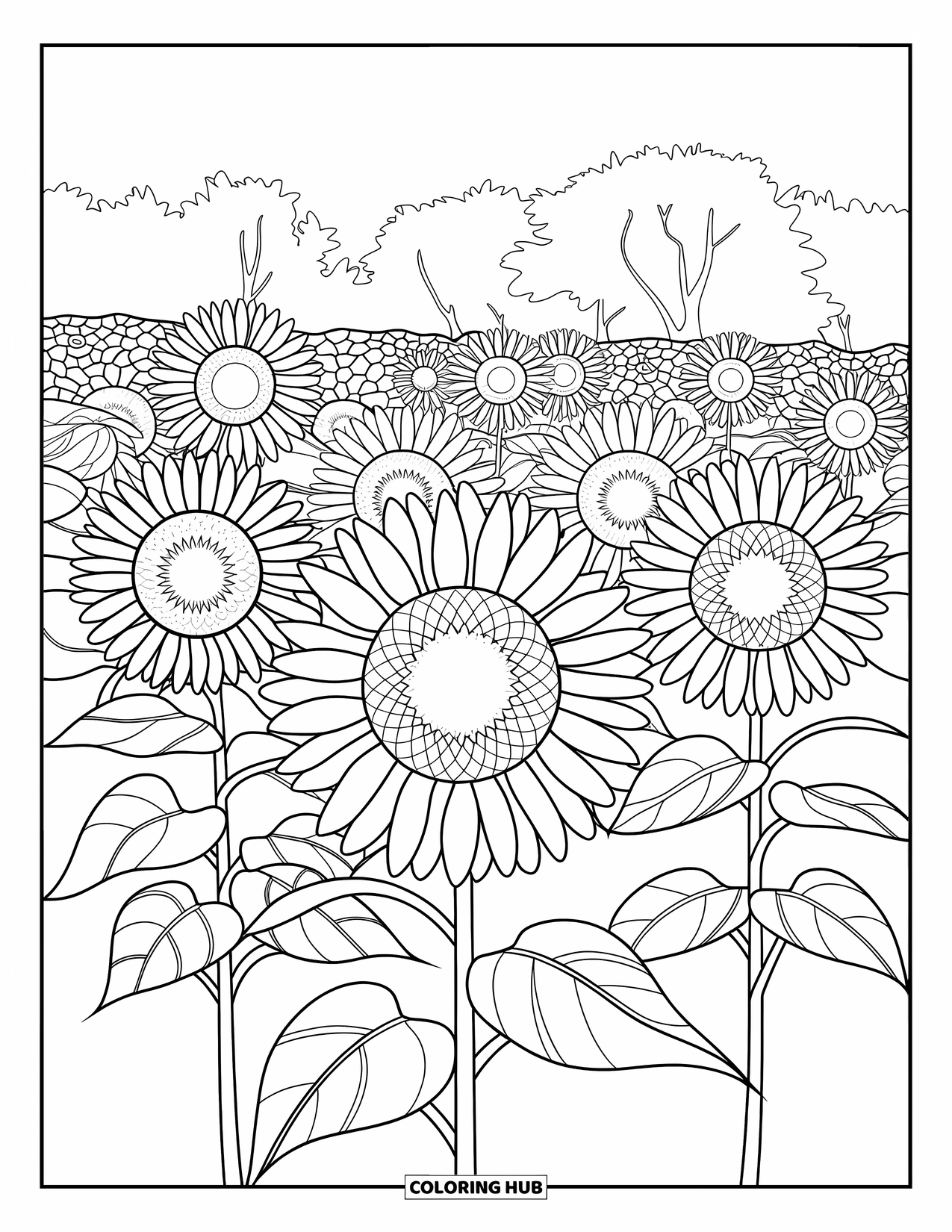 Desenho de Vitral para Colorir para Adultos: Jardim de girassóis detalhado com contornos de vitral ousados