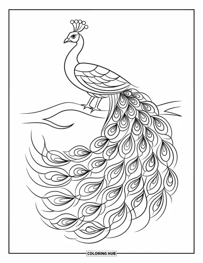Stained Glass Coloring Page for Adults: Graceful peacock with bold feather patterns in stained glass