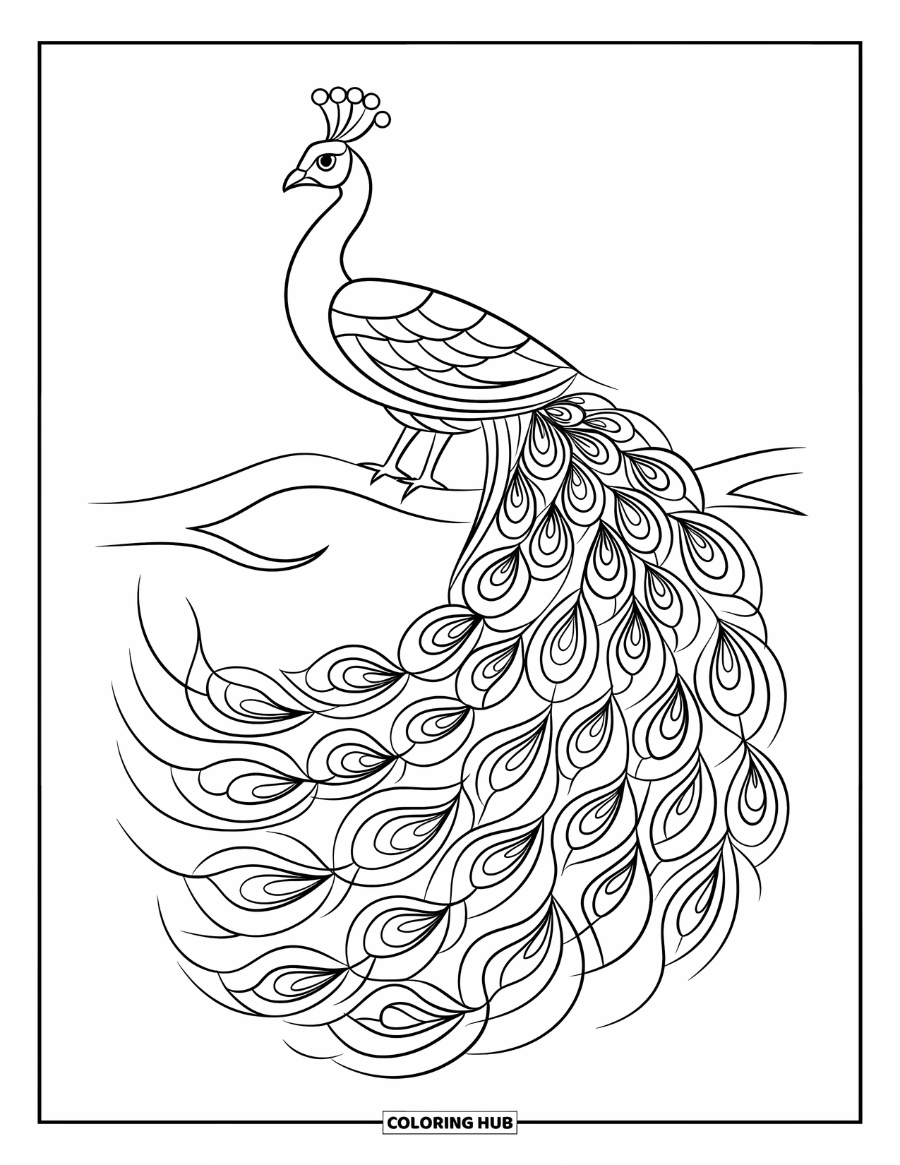 Desenho de Vitral para Colorir para Adultos: Pavão gracioso com padrões de penas ousados em vitral