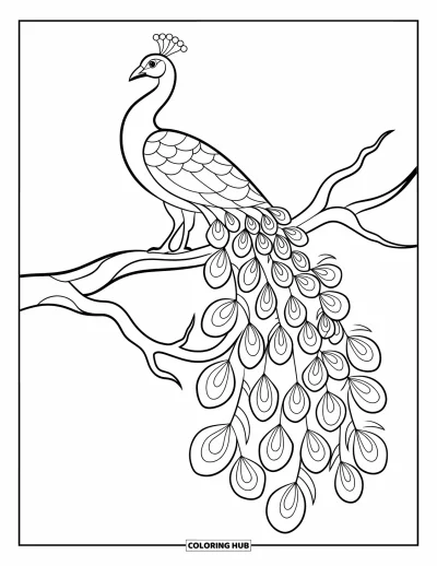 Stained Glass Coloring Page for Adults: Perched peacock with detailed tail in stained glass style