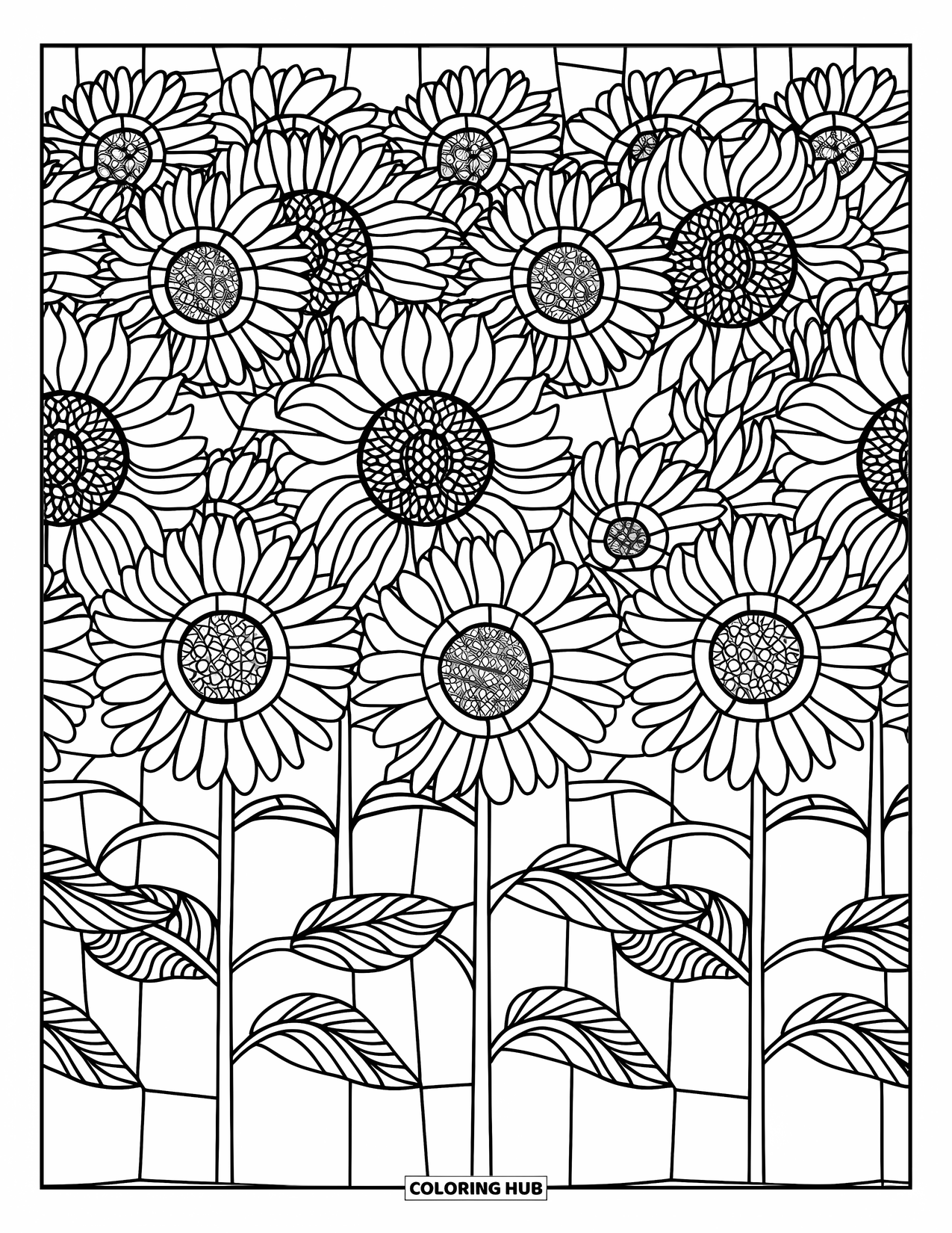 Desenho de Vitral para Colorir para Adultos: Girassóis em fileiras organizadas com padrões de vitral ousados