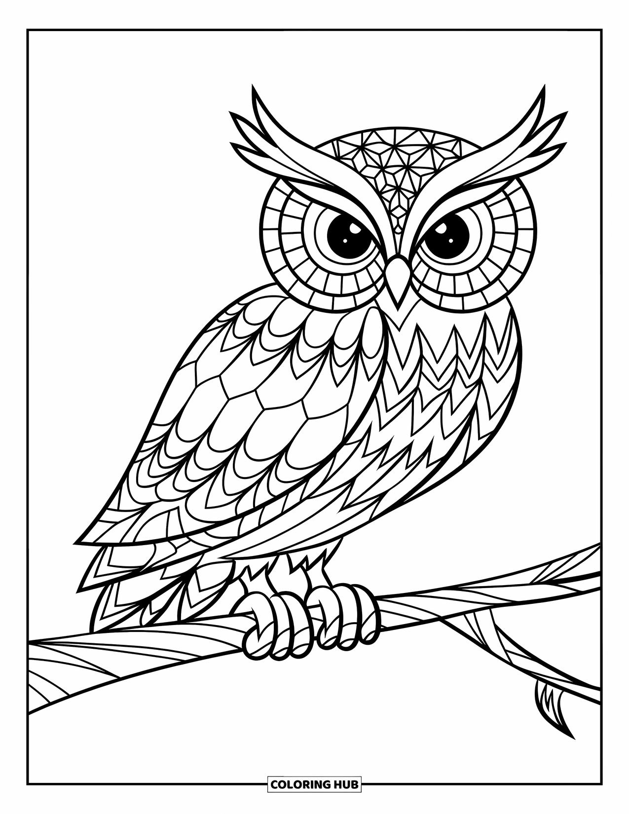 Zentangle Coloring Page for Kids: A detailed owl with interlocking patterns sits on a branch with flair