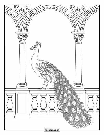 Tegning af zoo til voksne: En udfoldet påfugl sidder på et gelænder omgivet af detaljerede søjler og ornamentale mønstre