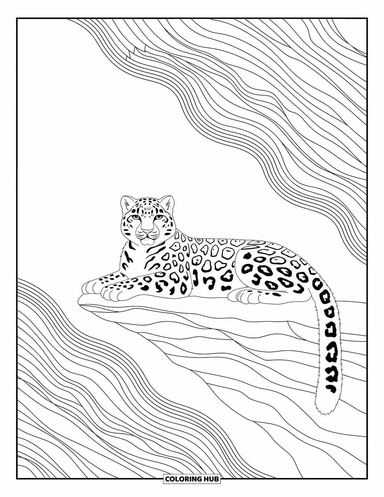 Zoo Coloring Page for Adults: A graceful snow leopard lies on rocks with elegant mountain patterns in the background