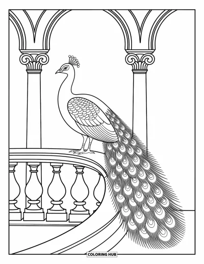 Tegning af zoo til voksne: En påfugl sidder elegant på et gelænder med detaljerede fjer og elegante søjler