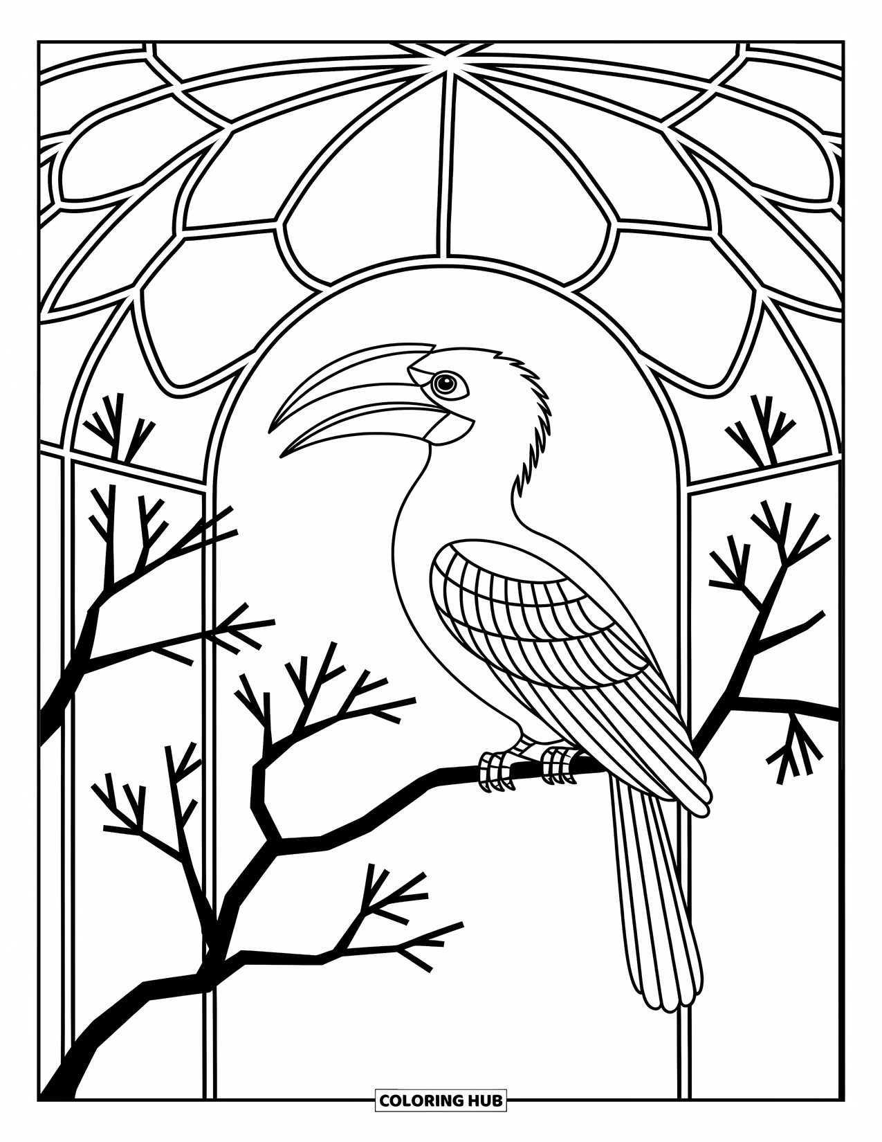 Zoo Coloring Page for Adults: A sleek hornbill sits in a domed aviary surrounded by detailed shapes and graceful branches