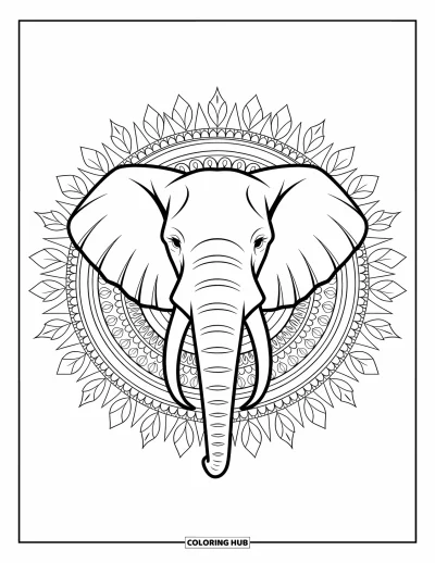 Tegning af zoo til voksne: Et elefanthoved med indviklede mandaladesigns er indrammet af mønstrede blade og zoobuer