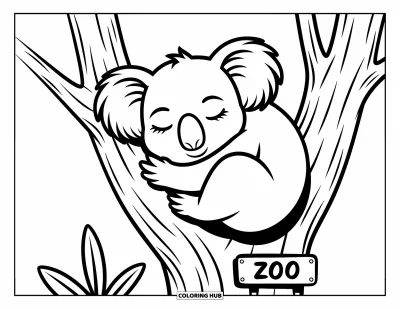 Tegning af zoo til børn: En rolig koala blunder på en træstamme med et zooskilt gemt i nærheden