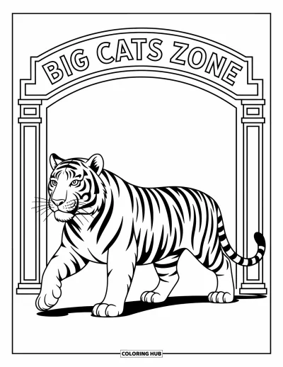 Tegning af zoo til børn: En majestætisk tiger går forbi en Big Cats Zone-bue med enkle, detaljerede mønstre