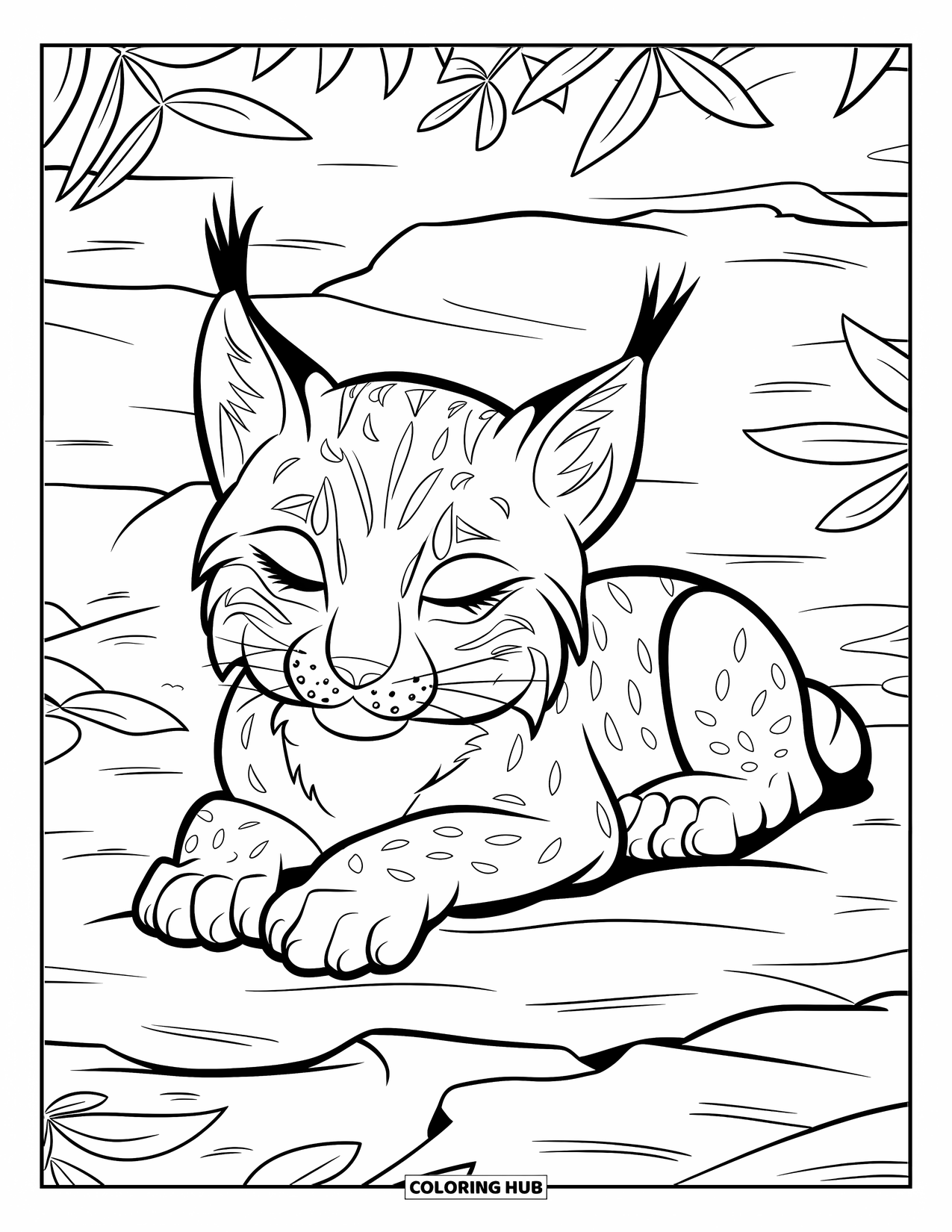 Baby Animal Coloring Page for Kids: A baby lynx naps peacefully in a forest of rocks and leaves