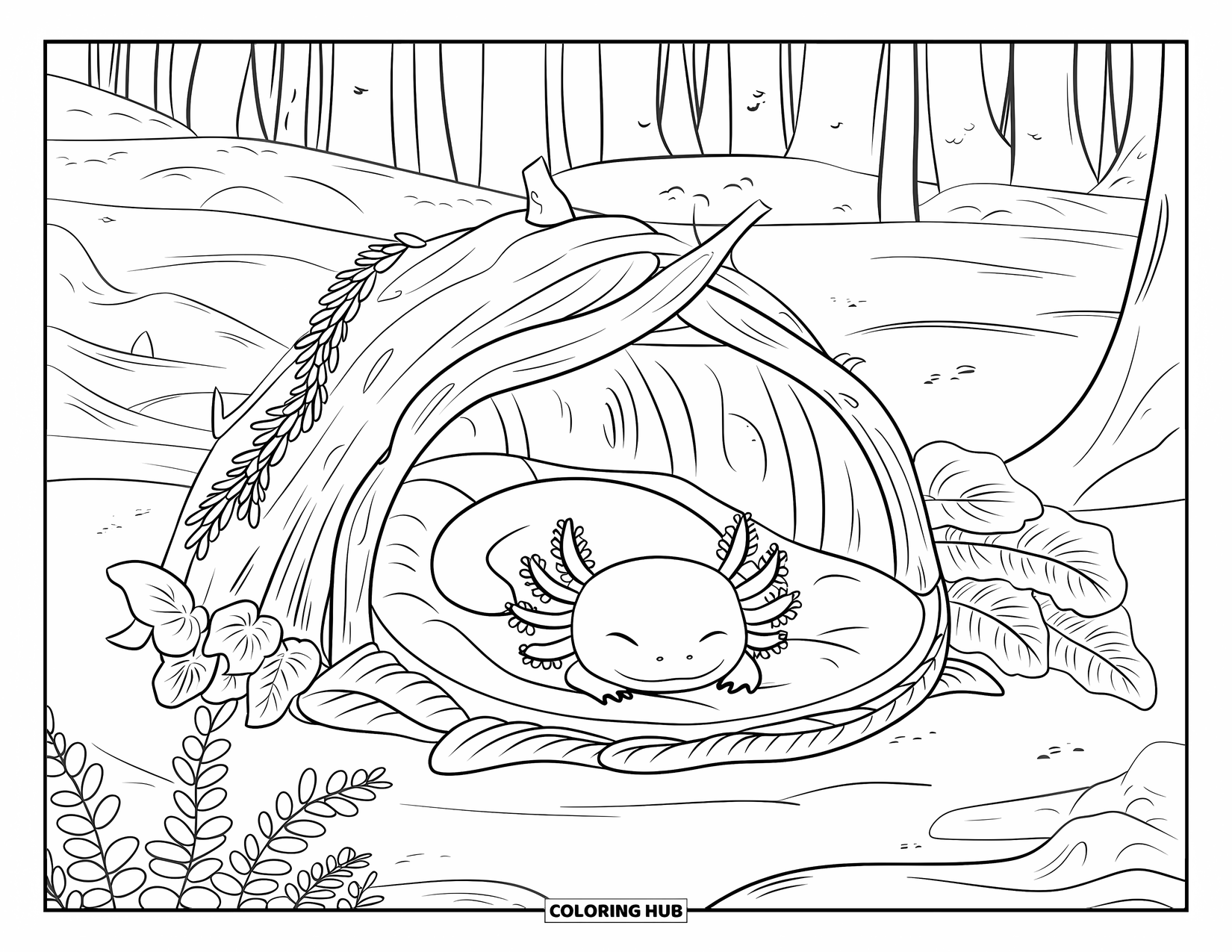 Baby Axolotl Coloring Page for Kids: Axolotl naps under ferns in a forest with a thatched driftwood shelter