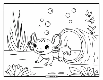 Målarbild med axolotlungar för barn: Axolotl simmar genom en stilla undervattens­tunnel med bubblor som flyter ovanför
