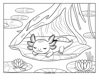 Målarbild med axolotlungar för barn: Sömnig axolotl ligger bland näckrosor och lotusblommor