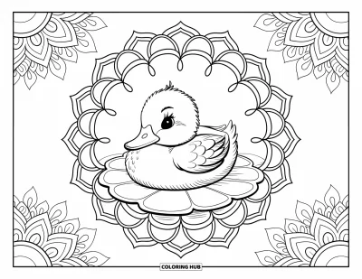 Entenküken-Ausmalbild für Erwachsene: Ein Entenküken treibt auf einem Seerosenblatt in einem Mandala-Blumenkranz
