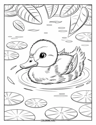 Entenküken-Ausmalbild für Erwachsene: Ein Entenküken gleitet durch einen Teich mit Seerosenpads und Wellen
