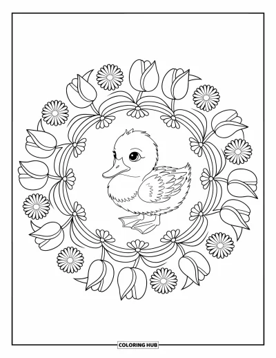 Entenküken-Ausmalbild für Erwachsene: Eine Ente ist umgeben von Tulpen und Gänseblümchen in einem runden Mandala