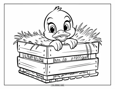 Entenküken-Ausmalbild für Kinder: Eine Ente schaut aus einer mit Heu gefüllten Holzkiste heraus