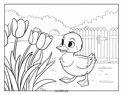 Entenküken-Ausmalbild für Kinder: Eine Ente watschelt durch Tulpen neben einem Zaun mit Tor