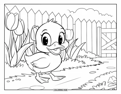 Entenküken-Ausmalbild für Kinder: Eine Ente läuft an Tulpen entlang neben einem hölzernen Gartenzaun vorbei
