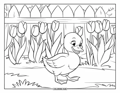 Entenküken-Ausmalbild für Kinder: Eine Ente watschelt durch blühende Tulpen neben Bäumen und einem Zaun