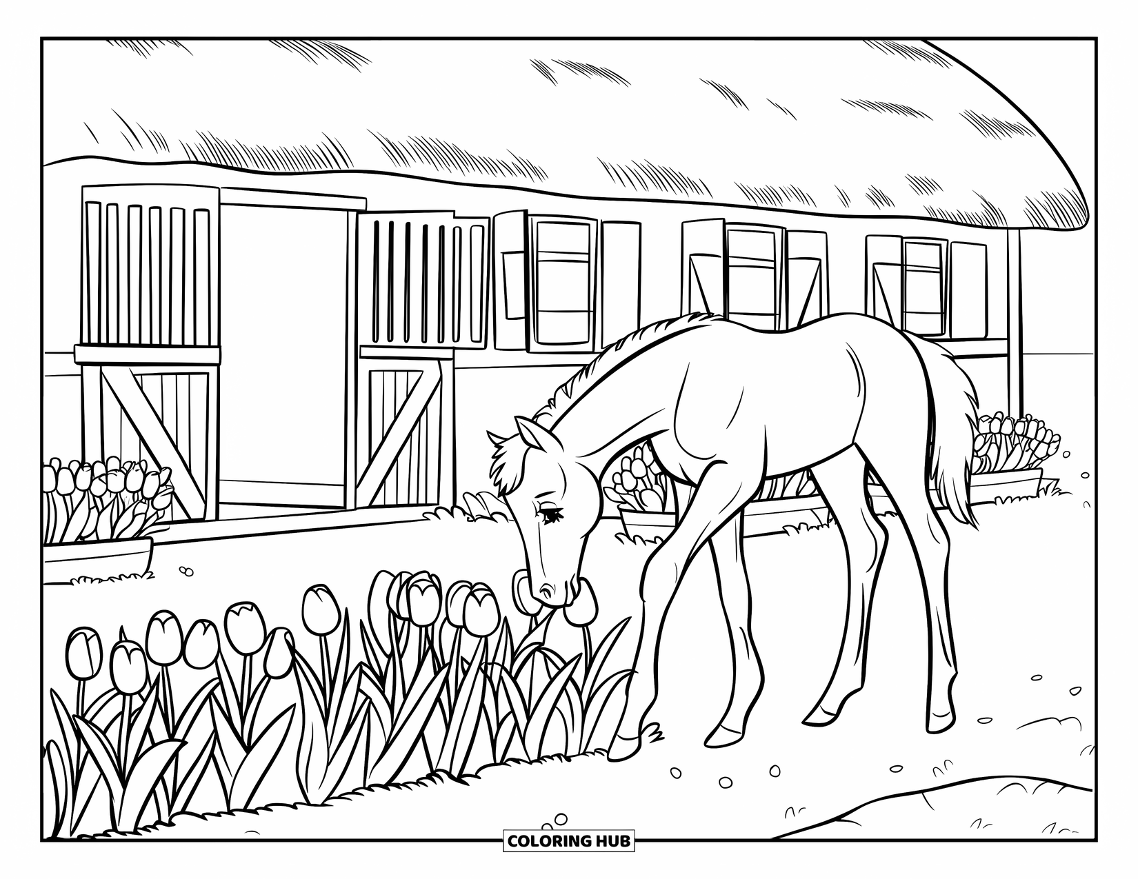 Baby Horse Coloring Page for Kids: A foal sniffs tulips in front of a cozy cottage-style stable