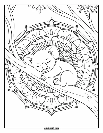Baby-Koala-Ausmalbild für Erwachsene: Ein schlafender Koala ruht auf einem Ast in einem Eukalyptus-Mandala-Muster