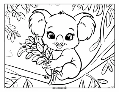 Baby-Koala-Ausmalbild für Kinder: Ein Baby-Koala klammert sich an Eukalyptusblätter auf einem Baumast