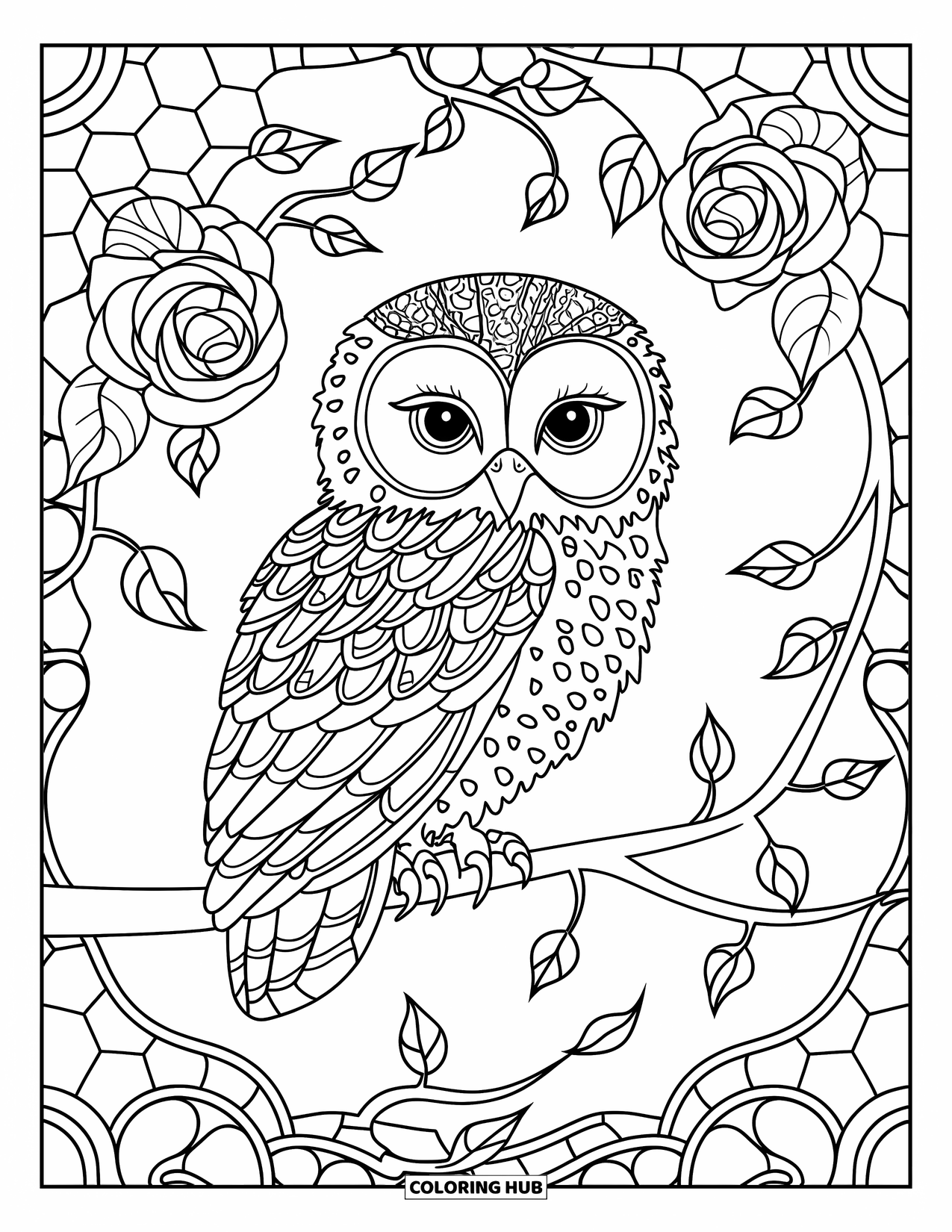 Baby Owl Coloring Page for Adults: Baby owl perches quietly among stained-glass roses and curling vines