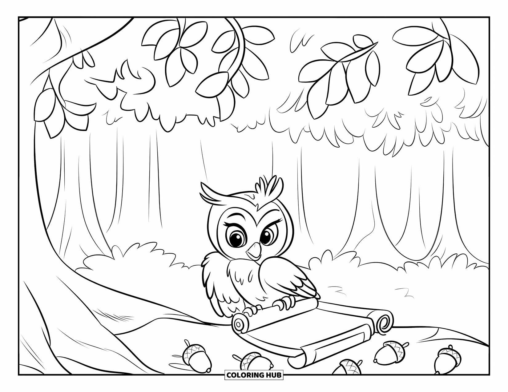 Baby Owl Coloring Page for Kids: Baby owl reads a scroll under a leafy tree with acorns around