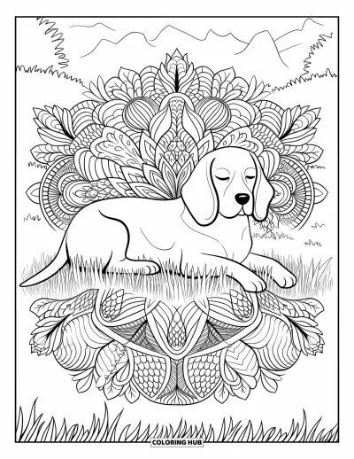 Desen de colorat cu beagle pentru adulți: Beagle odihnind pe iarbă înconjurat de un mandala floral pe toată pagina