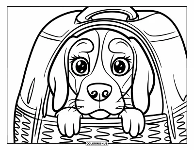 Desen de colorat cu beagle pentru copii: Beagle odihnind într-un coș-purtător cu o privire prietenoasă