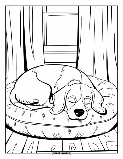 Desen de colorat cu beagle pentru copii: Beagle somnoros ghemuit pe o pernă moale lângă o fereastră