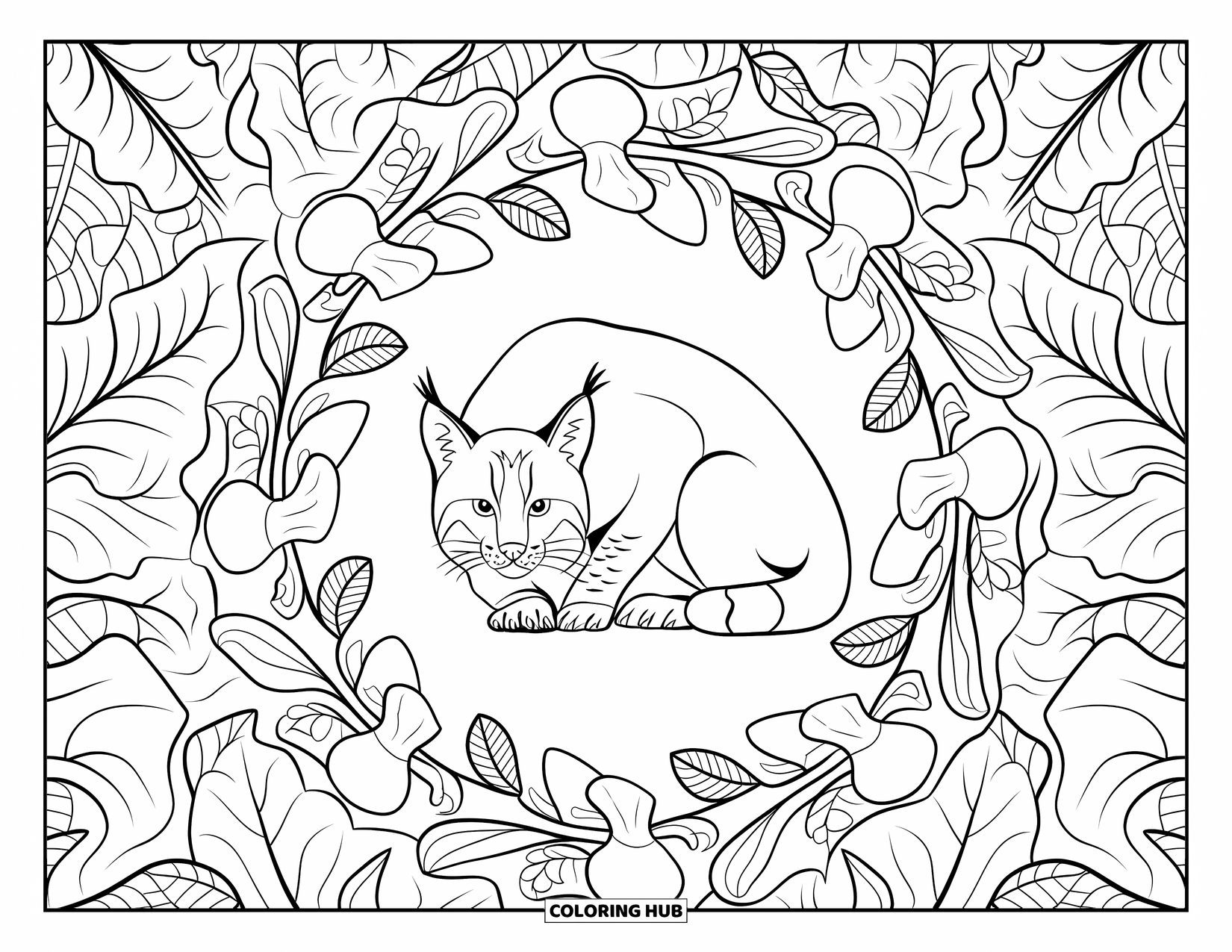 Bobcat Coloring Page for Adults: A bobcat crouches in a mandala of leaves, mushrooms, and twisting roots